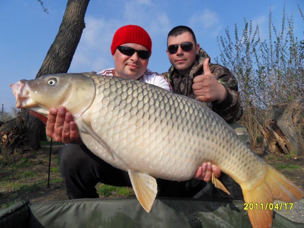 Nagykallo 2012 - rzv2012-137.JPG